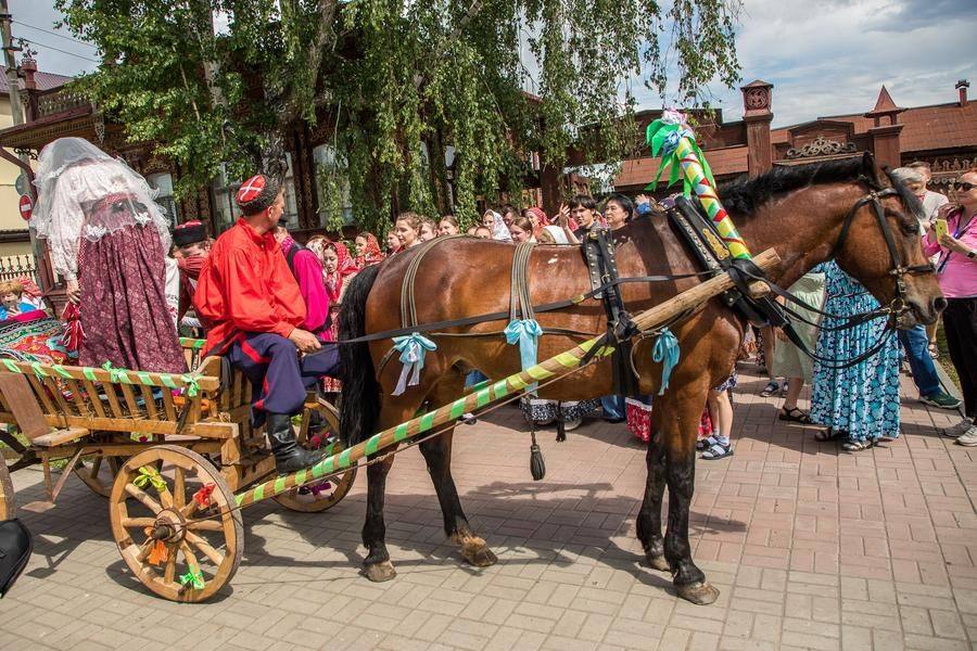 Молодые усаживаются в повозку, на которой прибыл жених