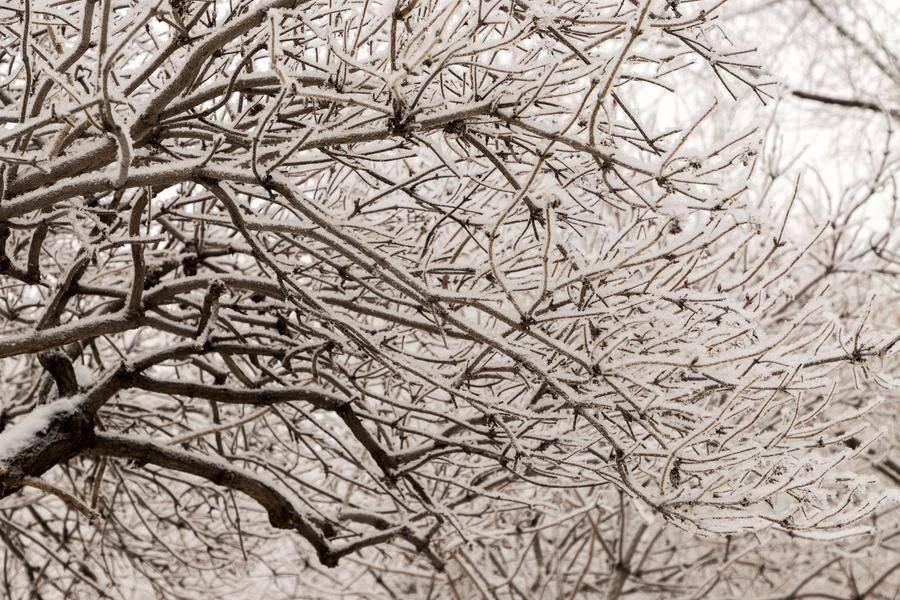 Температура в районе –10°C располагает к созерцательным прогулкам