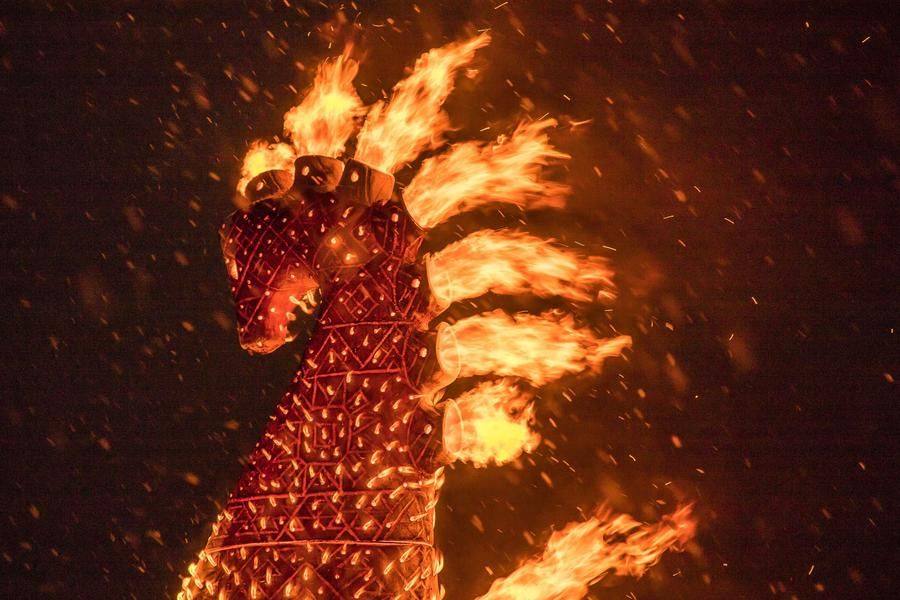 Ветер и снег удачно дополняют гордый образ символа наступающего года