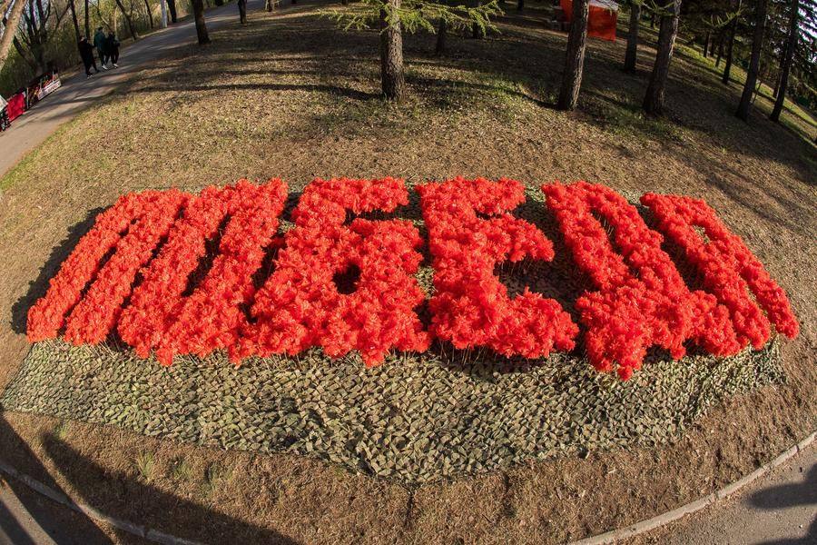 Огромные буквы выложены из цветов, которые учат делать на площадке неподалеку