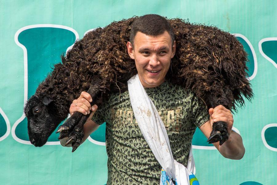 По традиции главный батыр с призовым бараном прошел круг почета по сцене