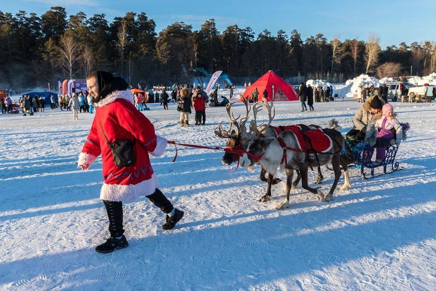 Слушая песни, на площади можно познакомиться с животными Крайнего Севера