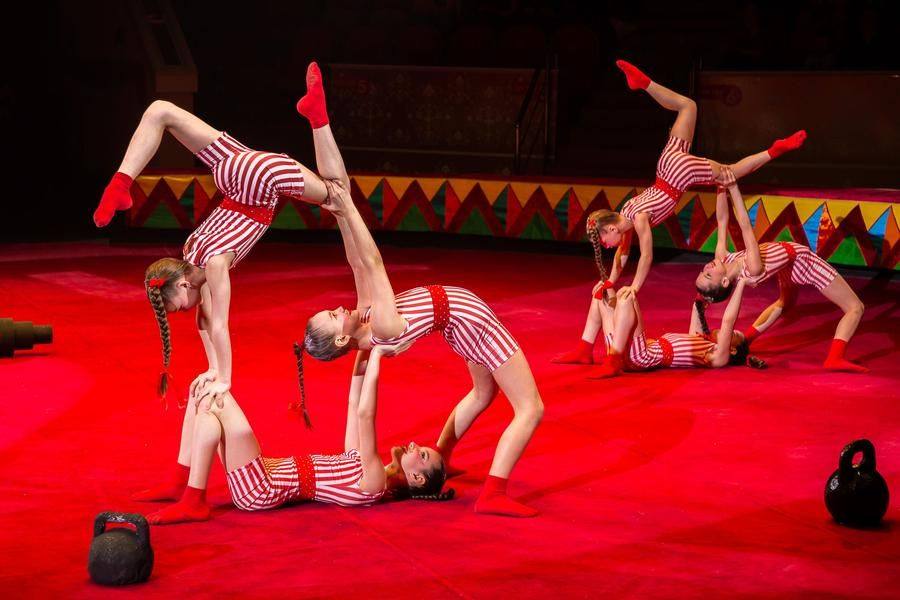 Путешествие в прошлое мирового спорта обеспечила красноярская студия Circus Time