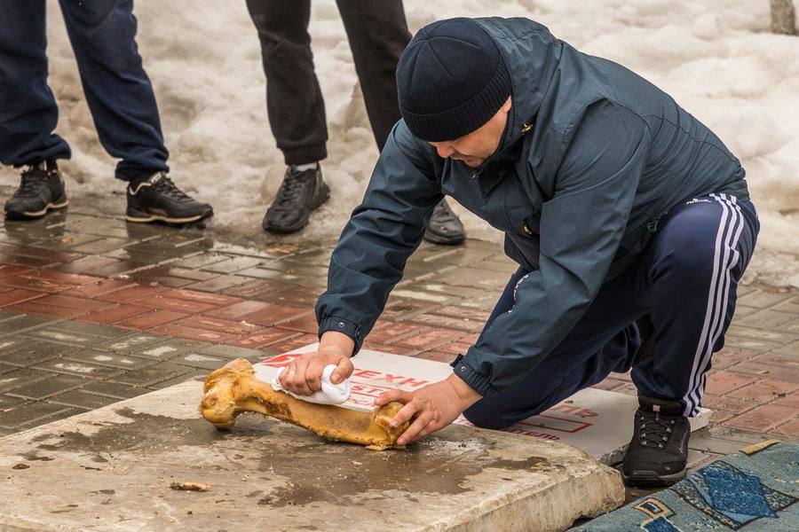 Нужна интуиция, чтобы найти слабое место этой части скелета крупного животного
