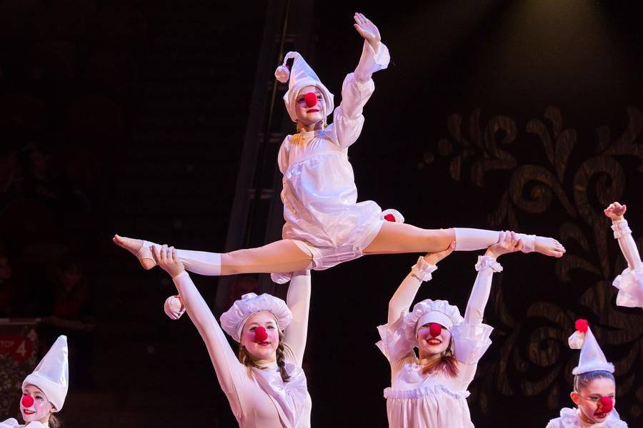 Красноярская студия Kras Circus умеет удивлять и делает это с удовольствием
