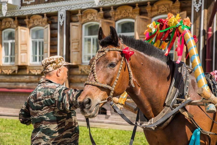Убранство конской упряжи говорит о том, что нас ждет задорная сибирская свадьба!